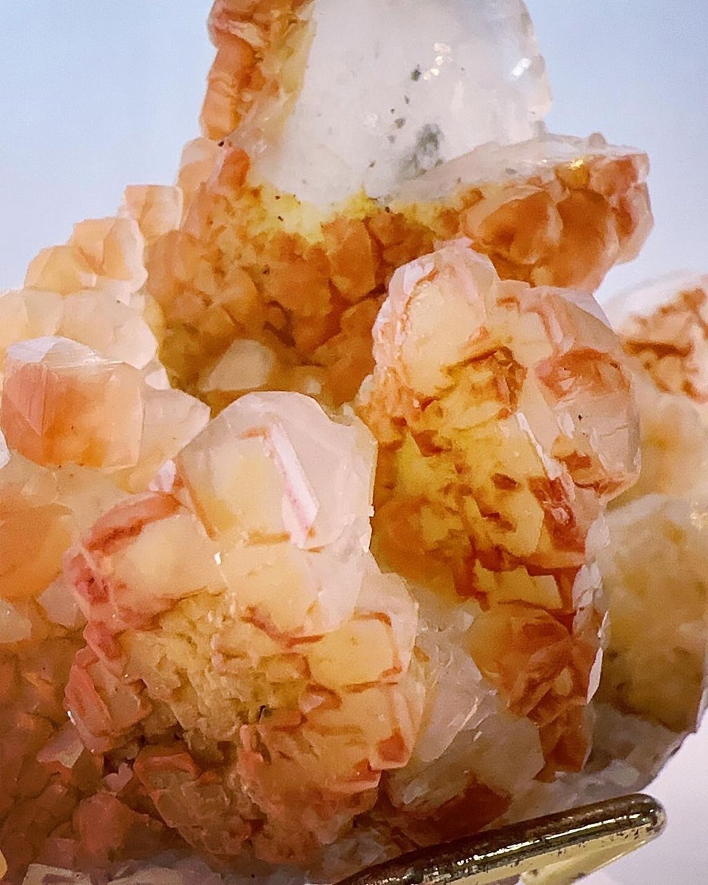 LINE_ALBUM_2024418_240418_13