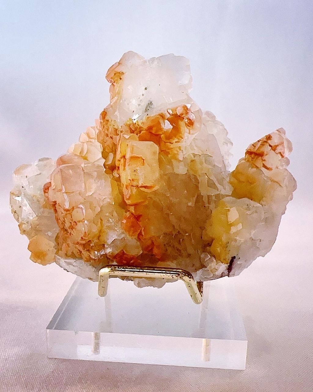 LINE_ALBUM_2024418_240418_15