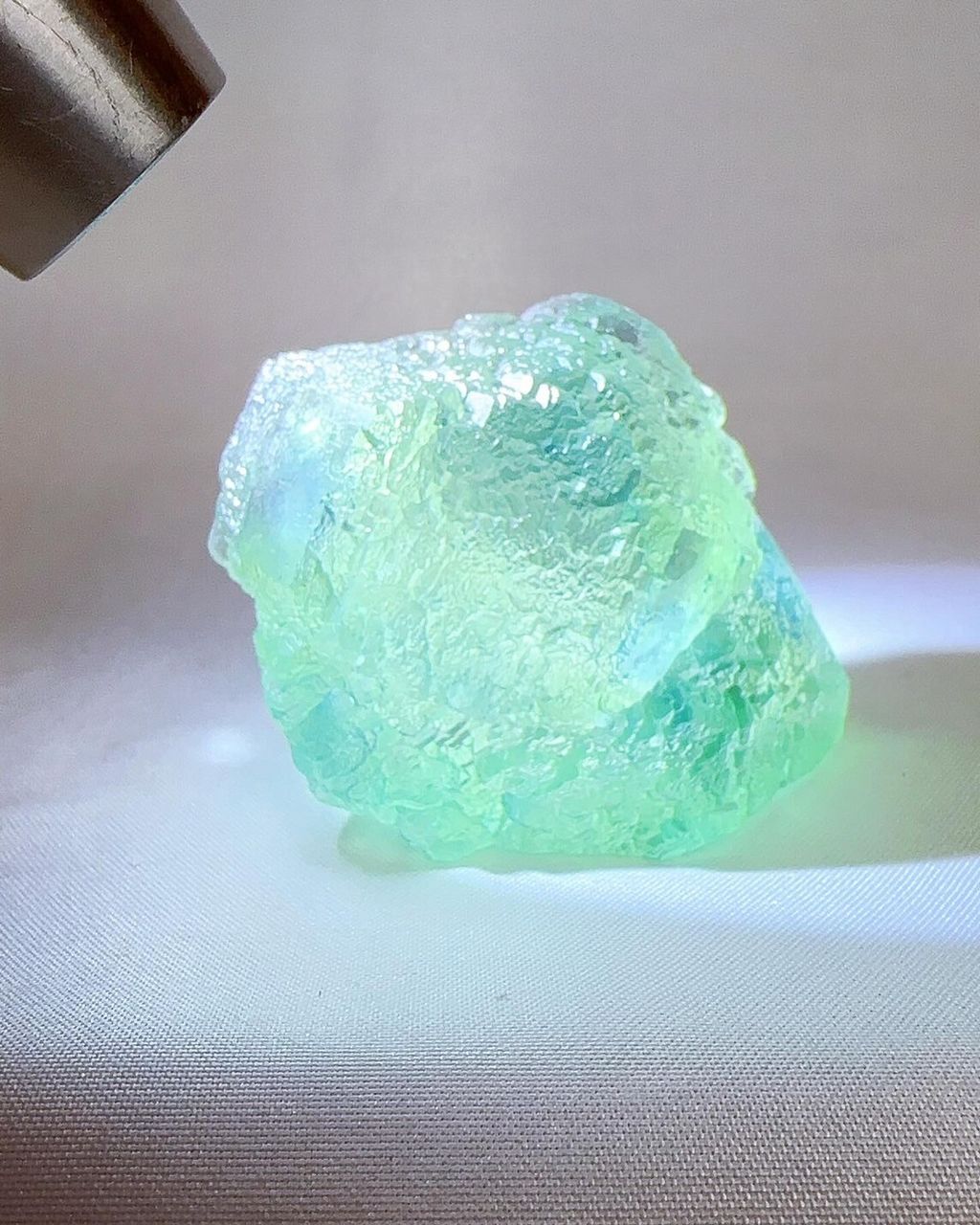 LINE_ALBUM_2024422_240422_19