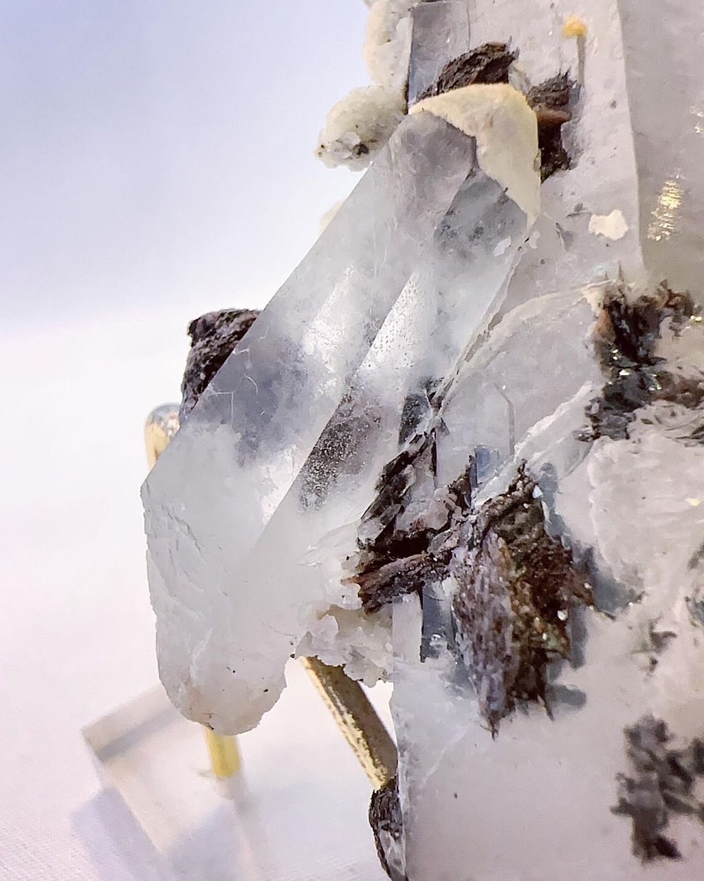 LINE_ALBUM_2024422_240422_15