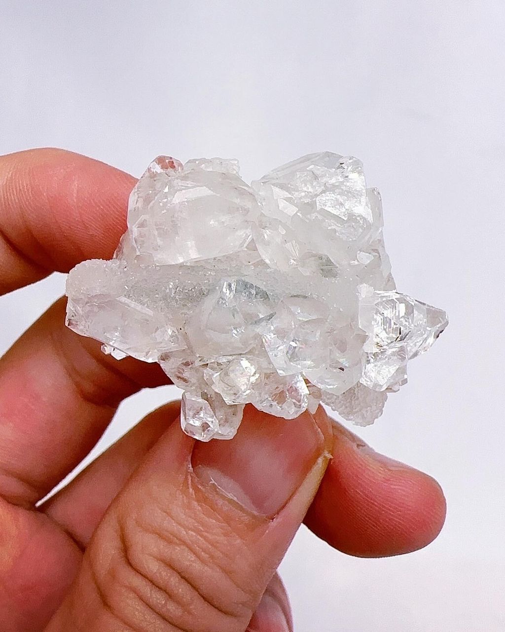 LINE_ALBUM_2024422_240422_12