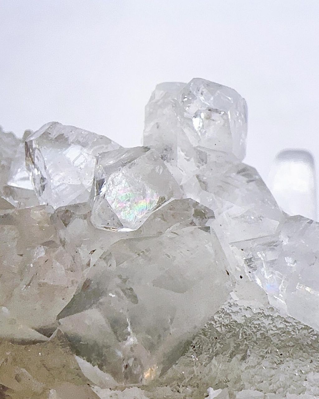 LINE_ALBUM_2024422_240422_10