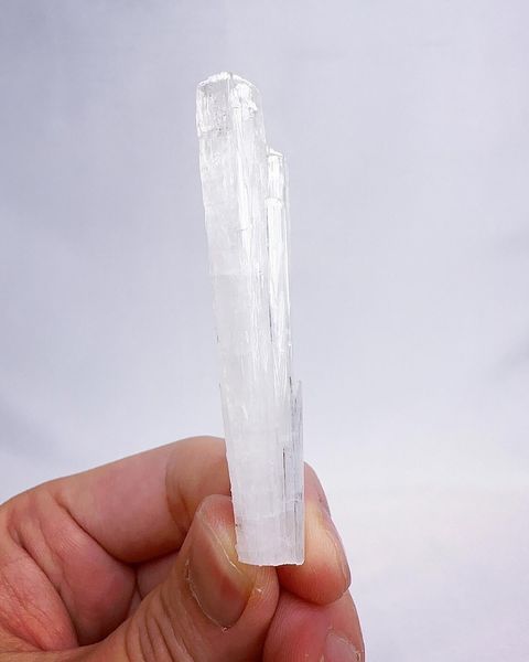 LINE_ALBUM_2024422_240422_7