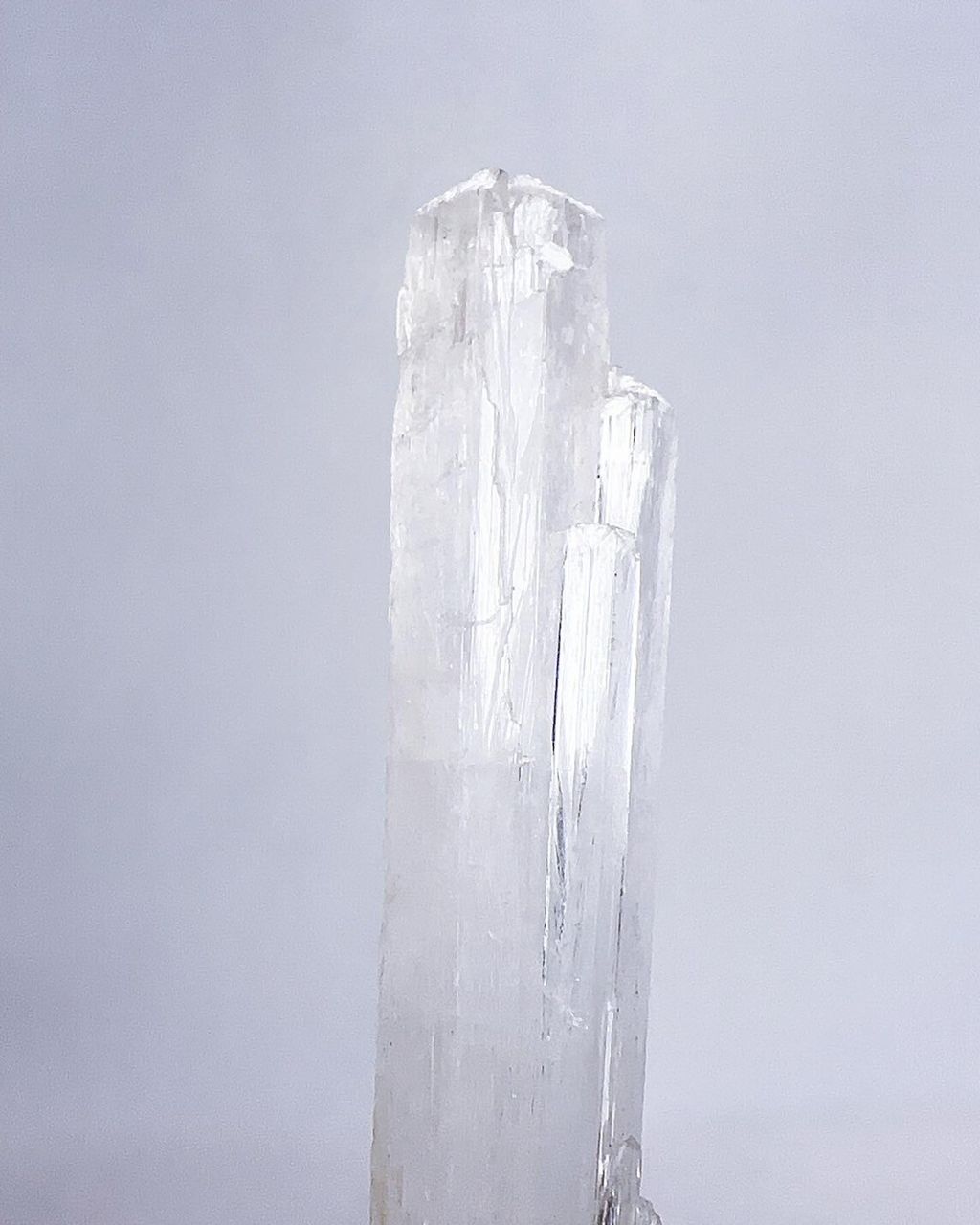 LINE_ALBUM_2024422_240422_6