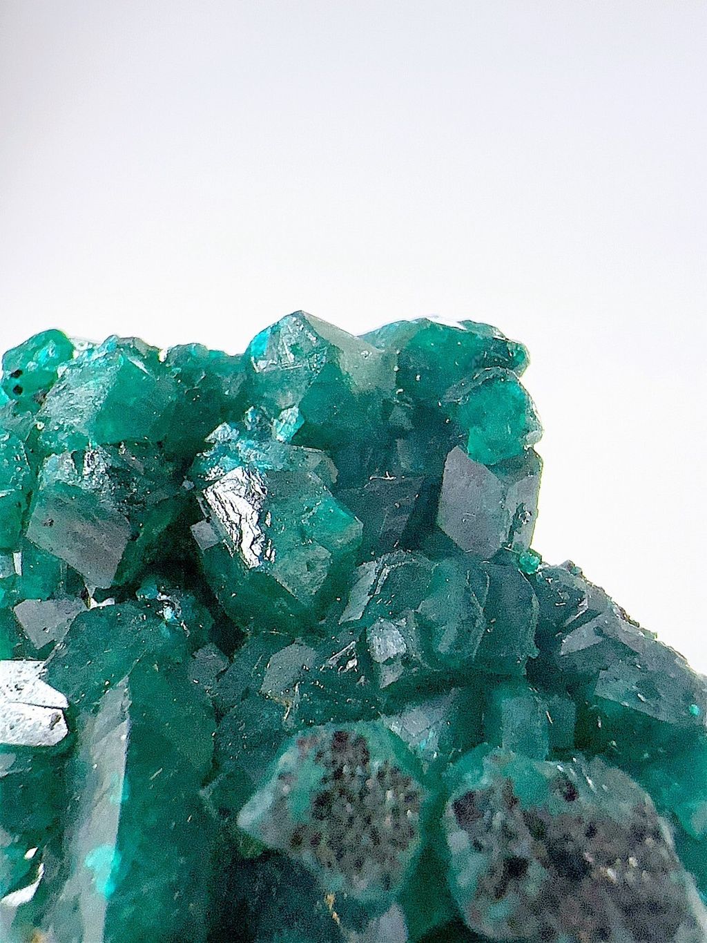 LINE_ALBUM_202459_240509_6