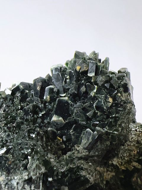 LINE_ALBUM_202459_240510_7