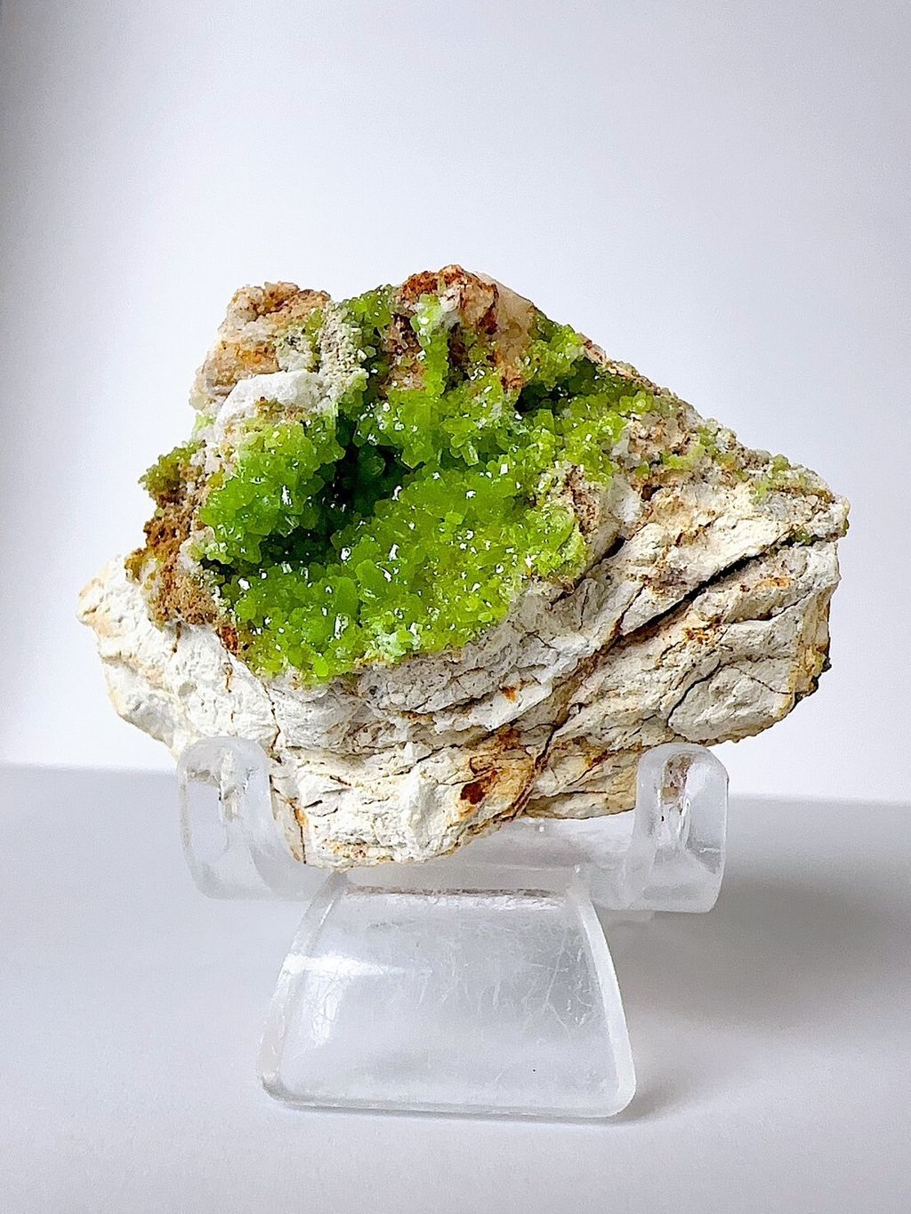 LINE_ALBUM_202459_240510_4