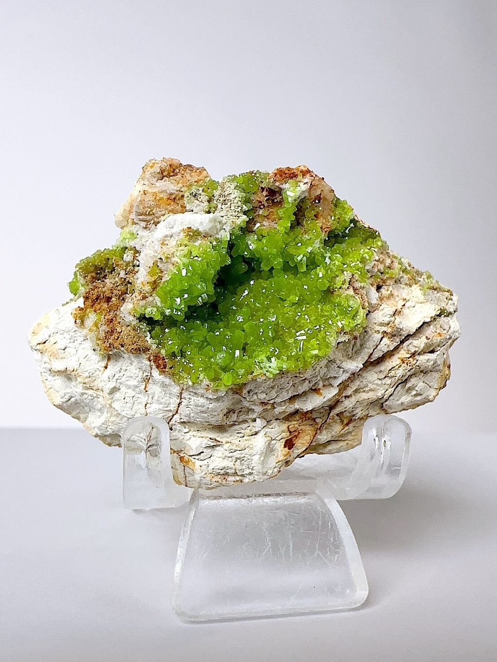 LINE_ALBUM_202459_240510_3