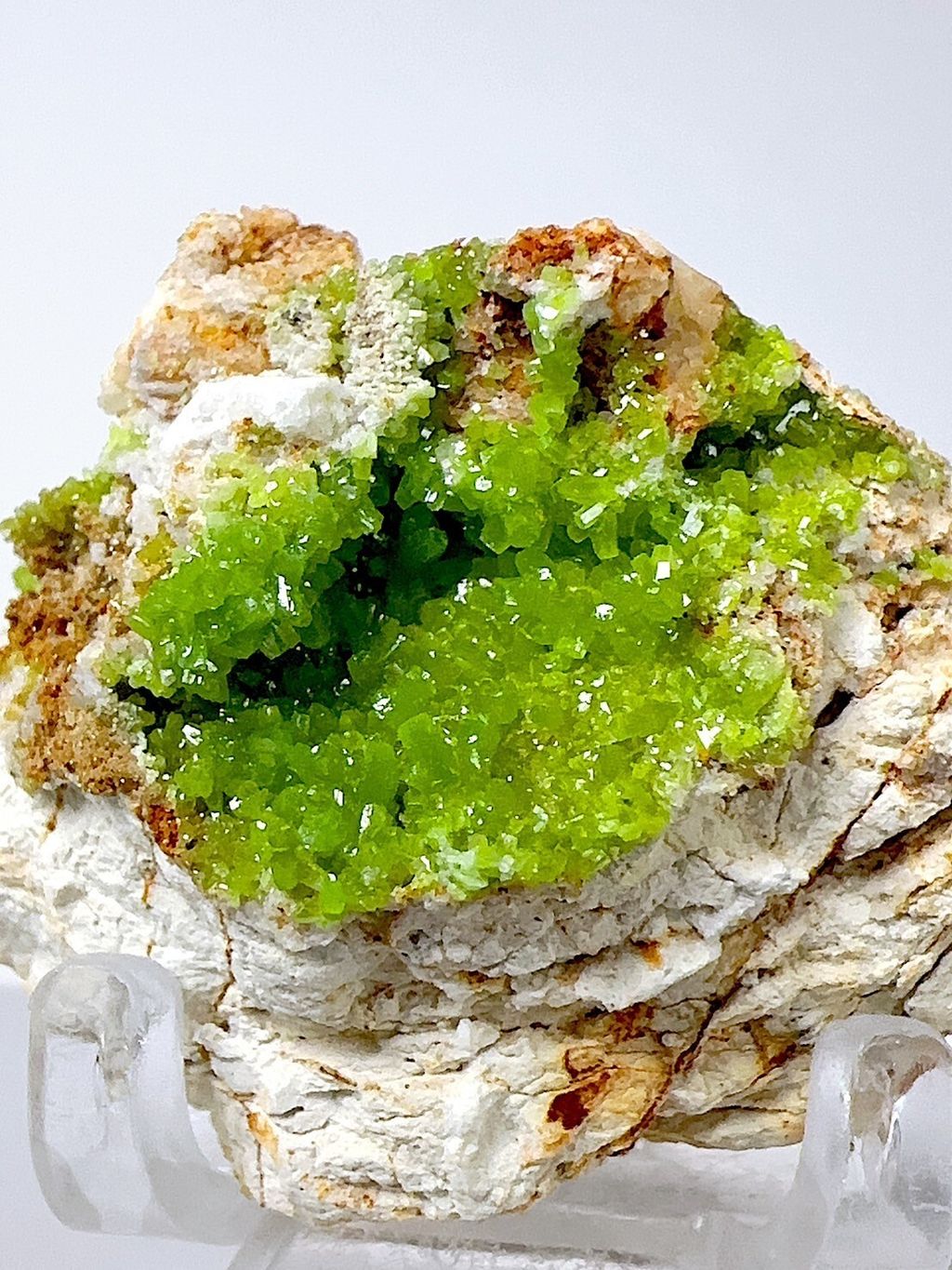 LINE_ALBUM_202459_240510_2