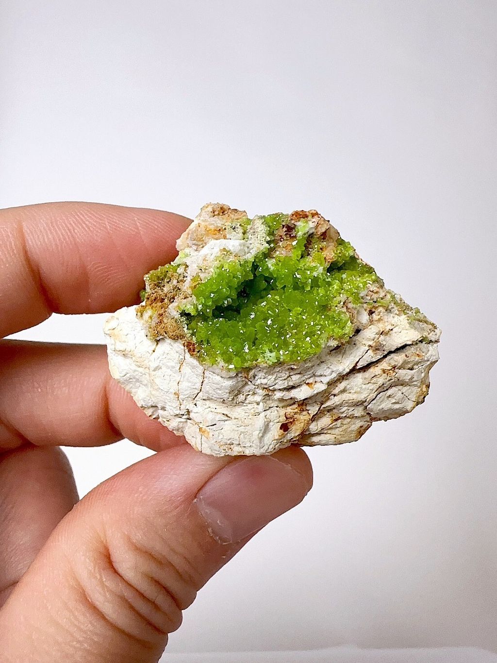 LINE_ALBUM_202459_240510_1