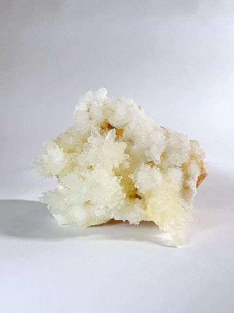 LINE_ALBUM_2024513_240513_4