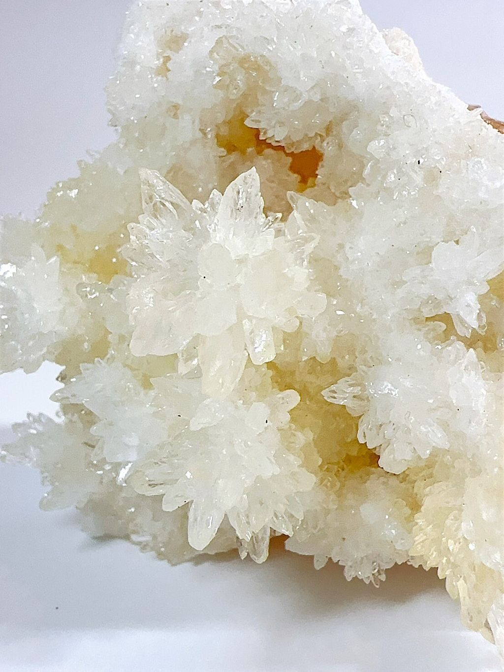 LINE_ALBUM_2024513_240513_2