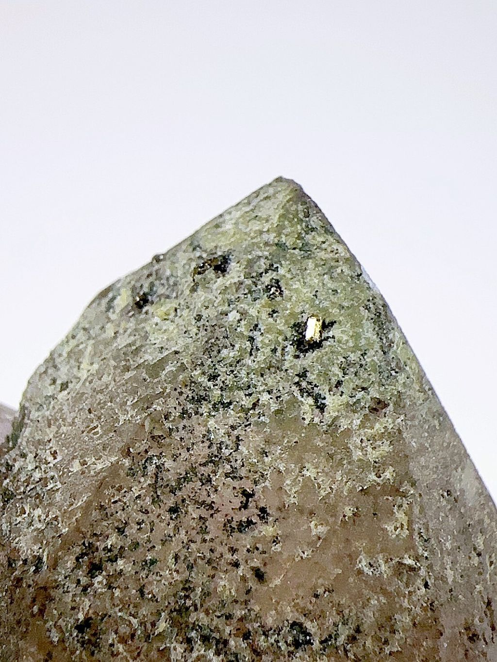 LINE_ALBUM_2024516_240516_24