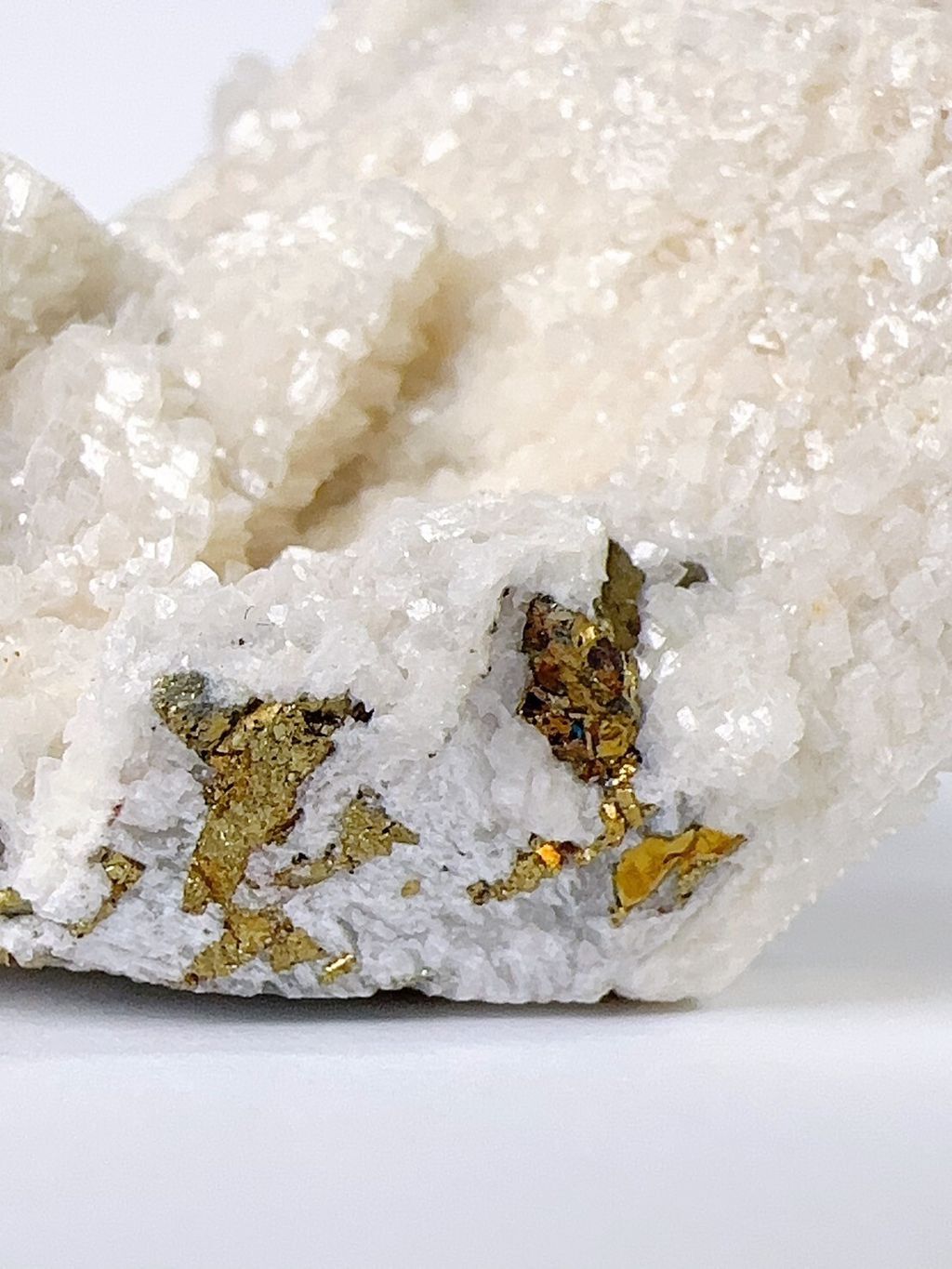 LINE_ALBUM_2024516_240516_11