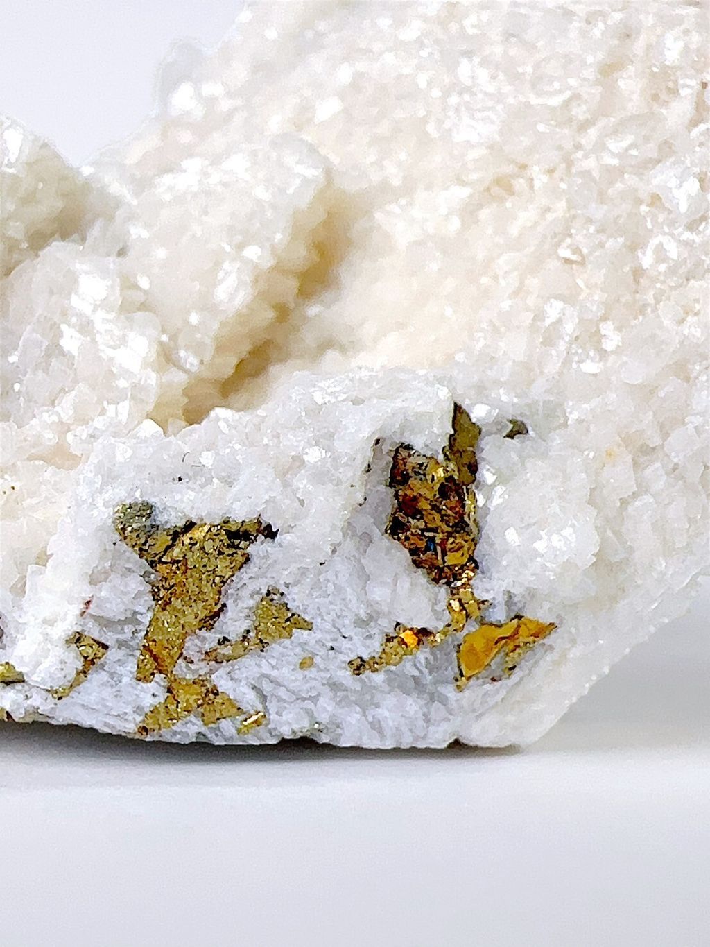 LINE_ALBUM_2024516_240516_15