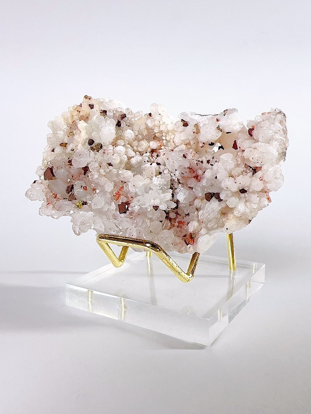 LINE_ALBUM_2024520_240520_5