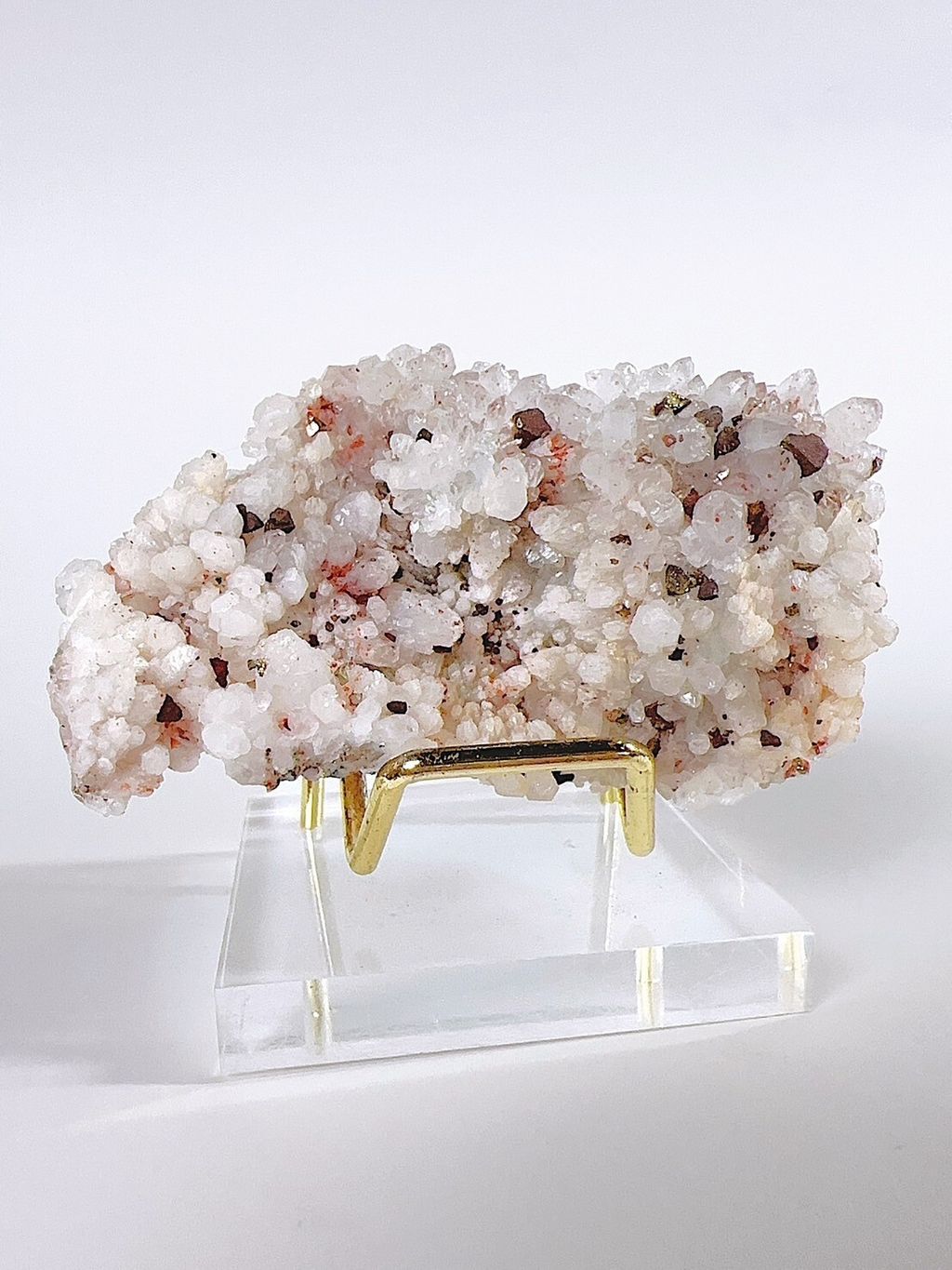 LINE_ALBUM_2024520_240520_4