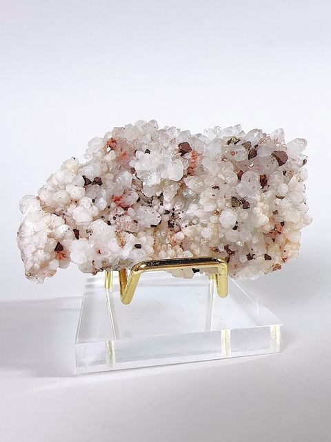 LINE_ALBUM_2024520_240520_4