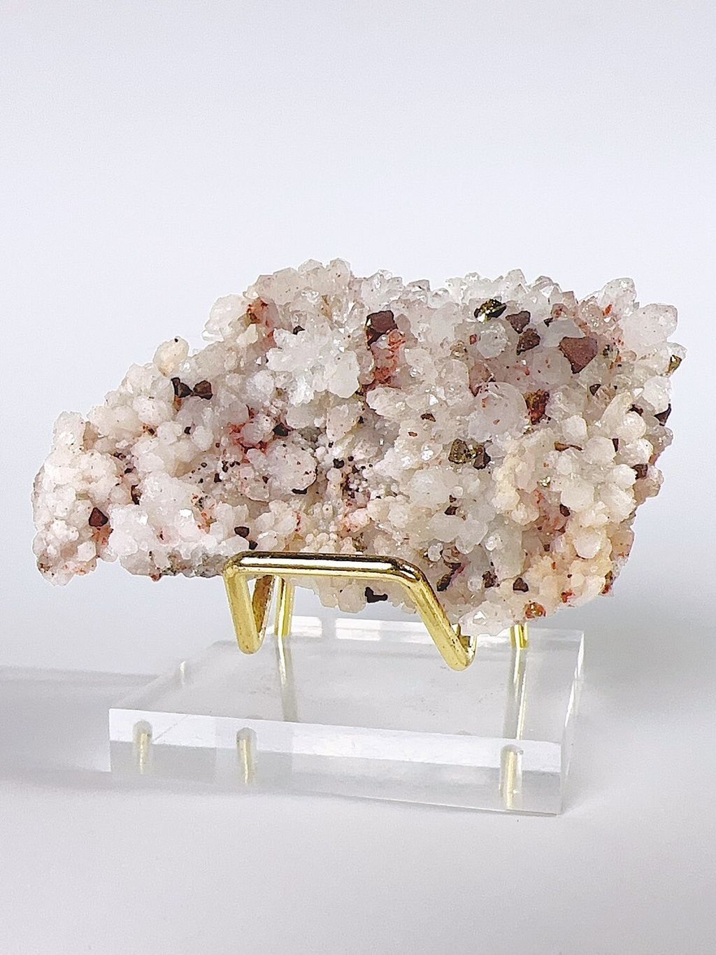 LINE_ALBUM_2024520_240520_3