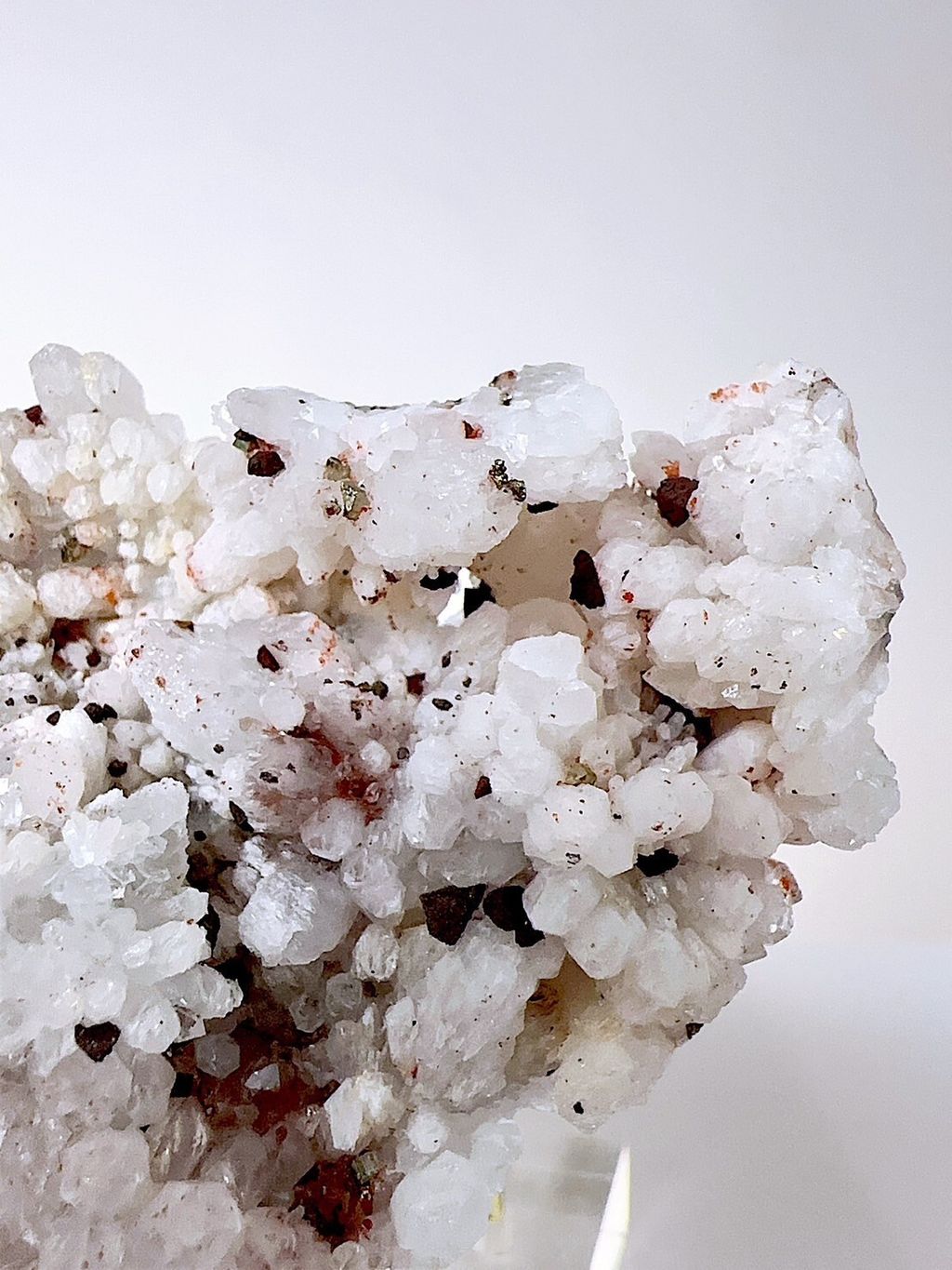 LINE_ALBUM_2024520_240520_2