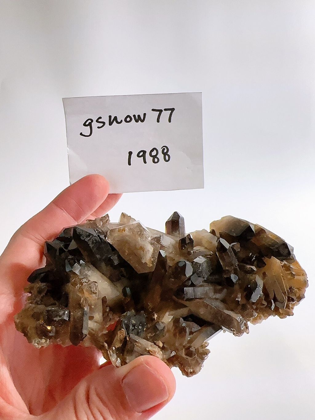 LINE_ALBUM_2024527_240527_22