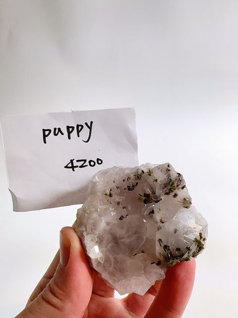 LINE_ALBUM_2024527_240527_17