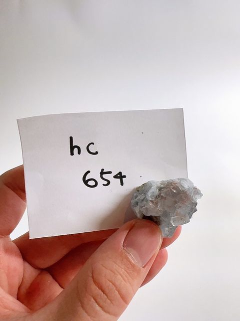 LINE_ALBUM_2024527_240527_16