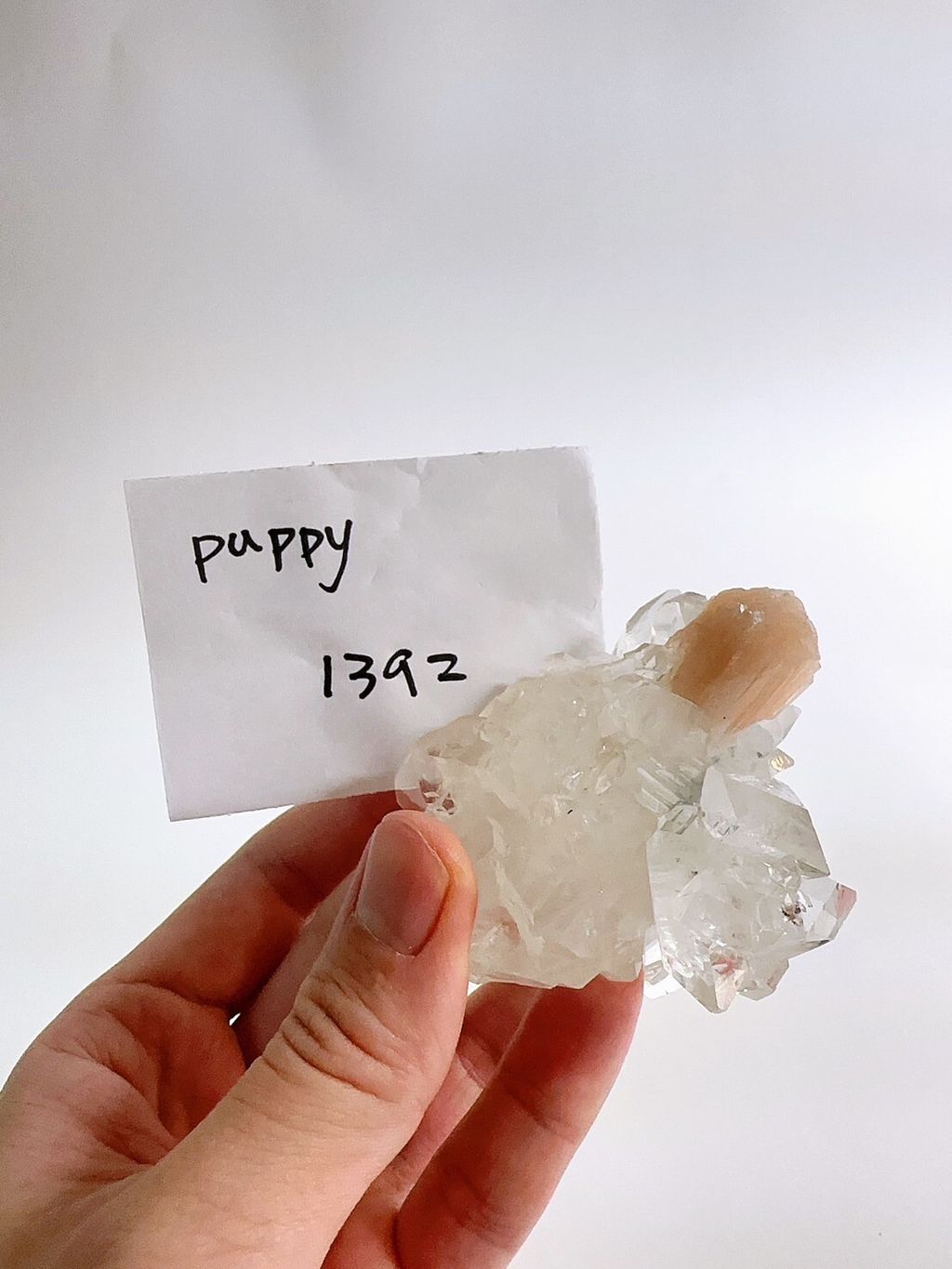 LINE_ALBUM_2024527_240527_12