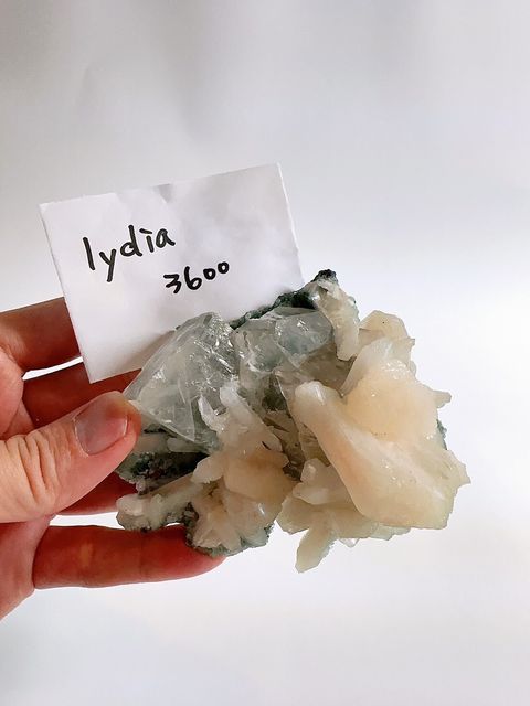 LINE_ALBUM_2024527_240527_11