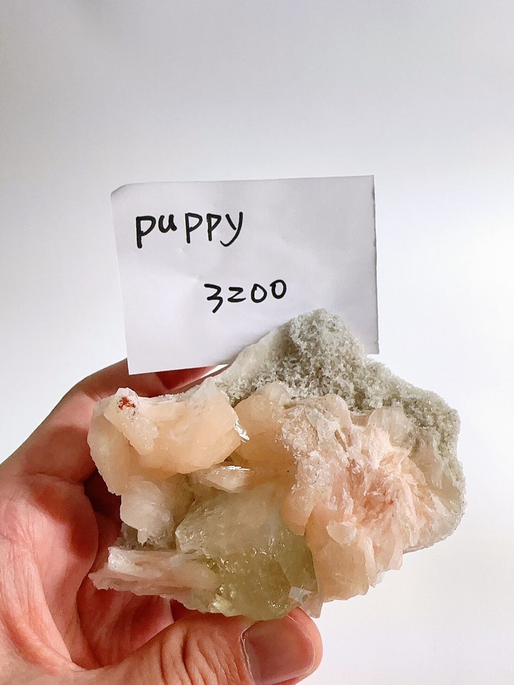 LINE_ALBUM_2024527_240527_2