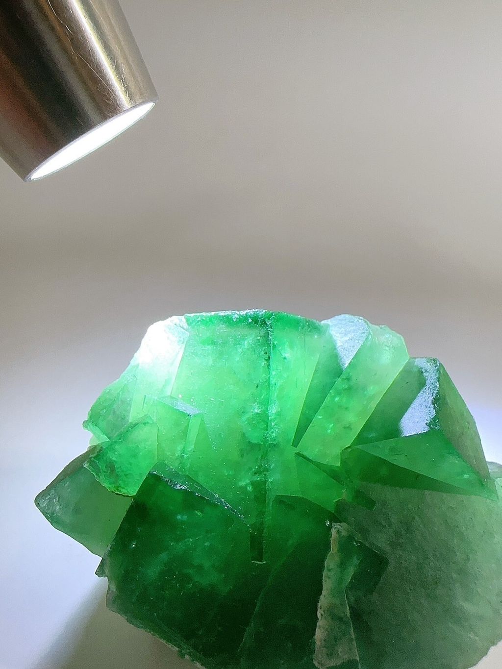 LINE_ALBUM_2024530_240530_25