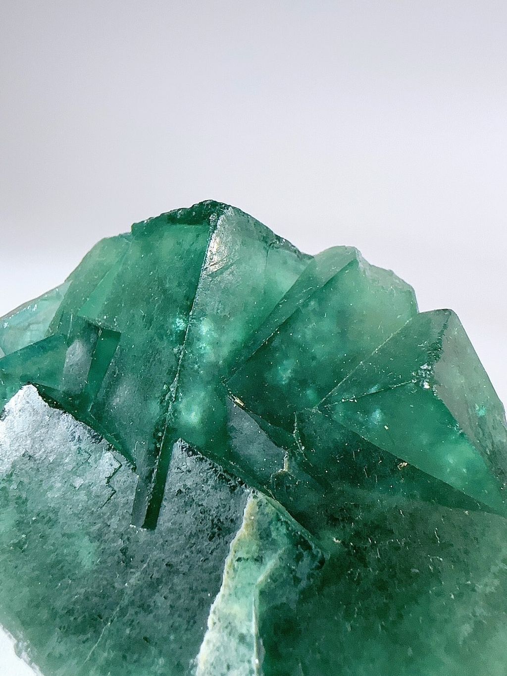 LINE_ALBUM_2024530_240530_26