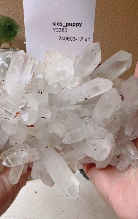 12