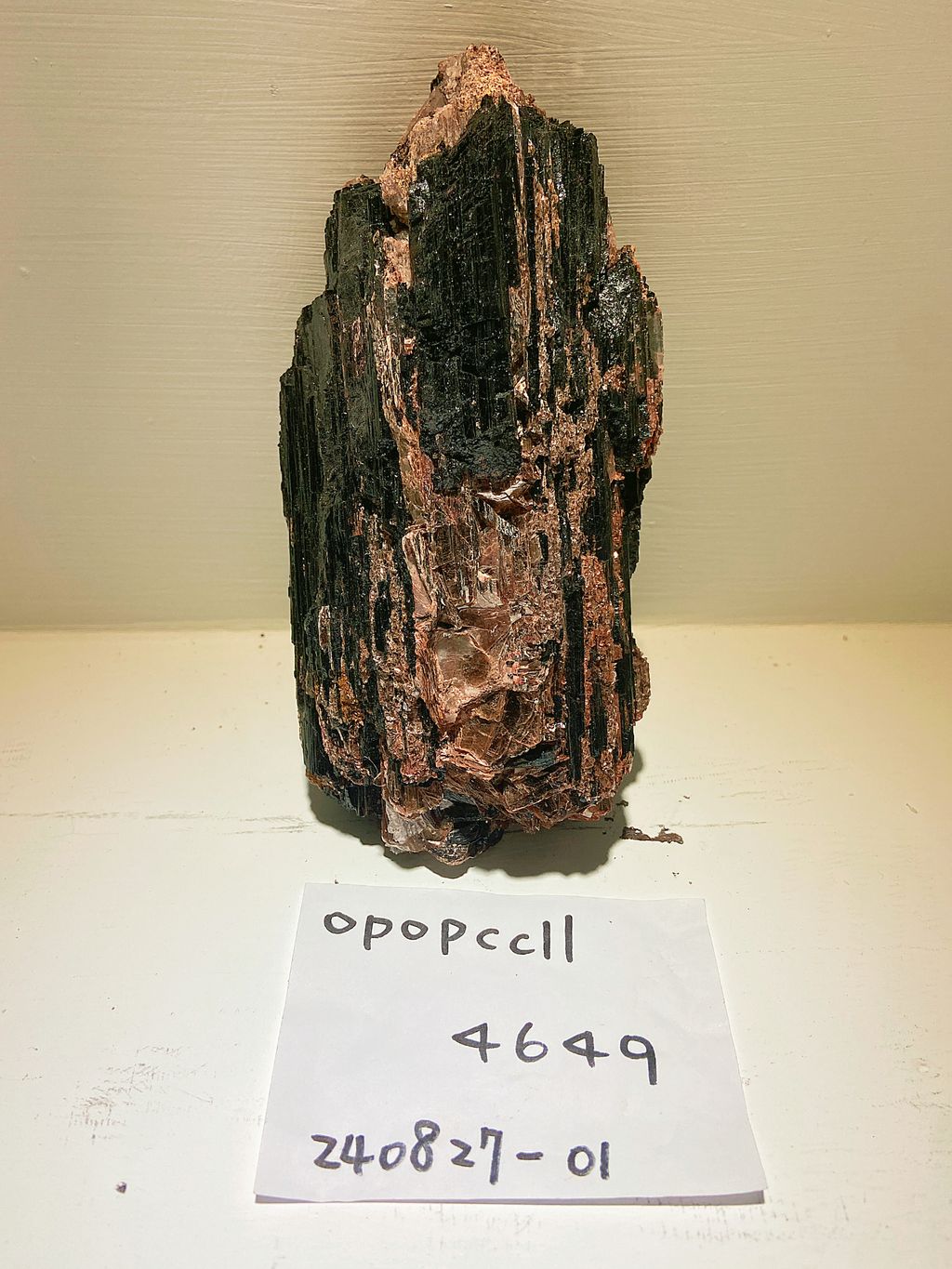 IMG_3311-1724757872641