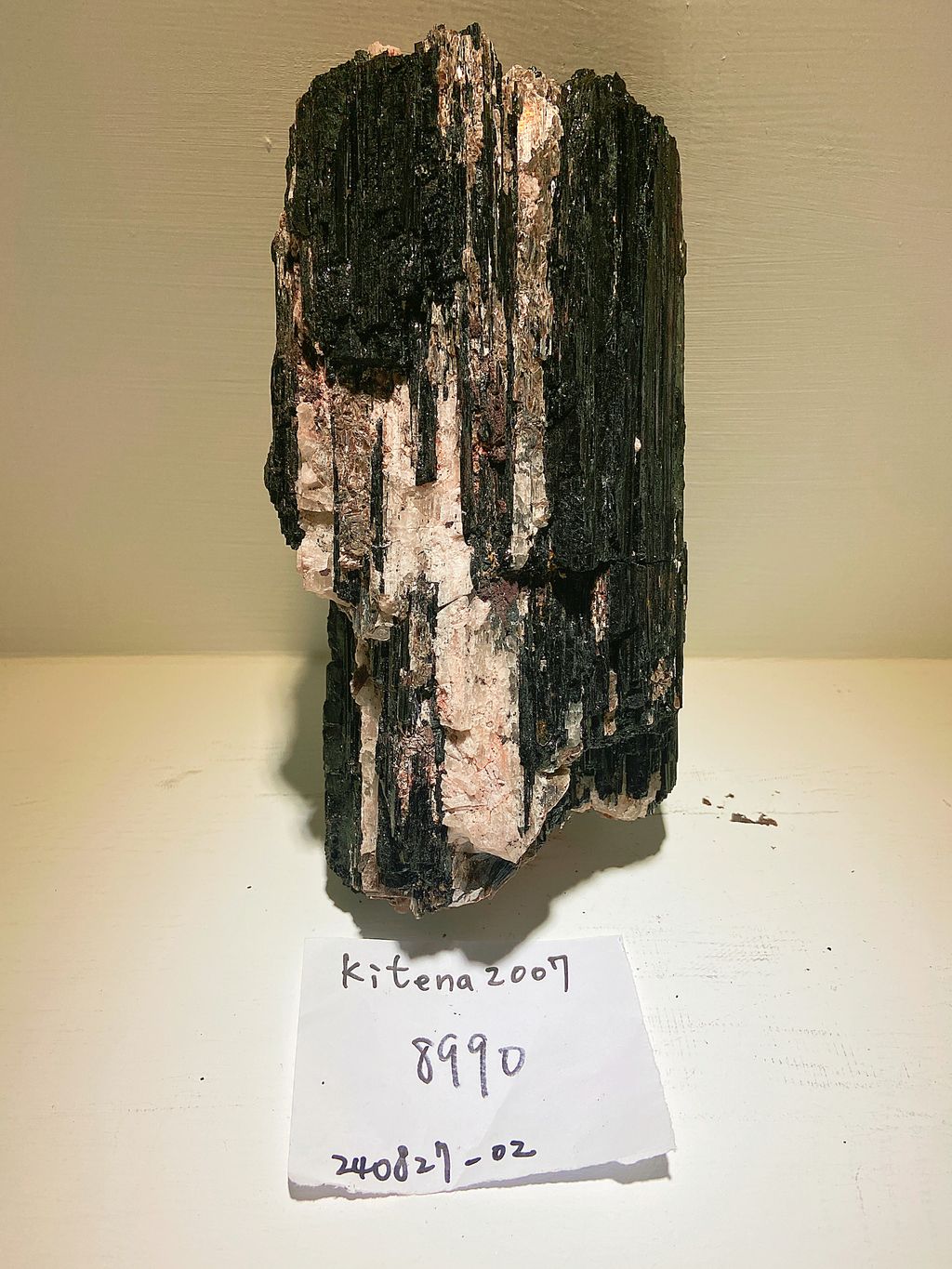 IMG_3313-1724758070354