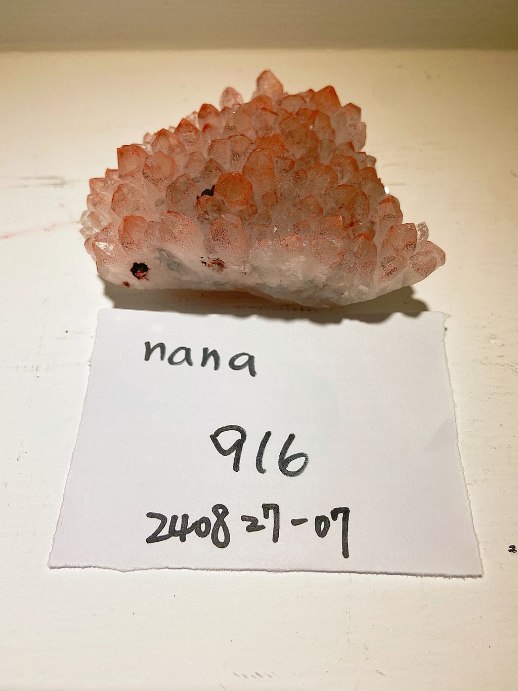 IMG_3318-1724758357918