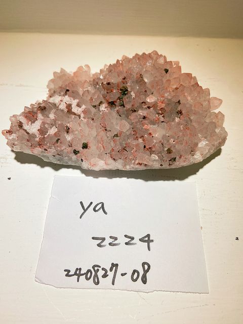 IMG_3319-1724758384100