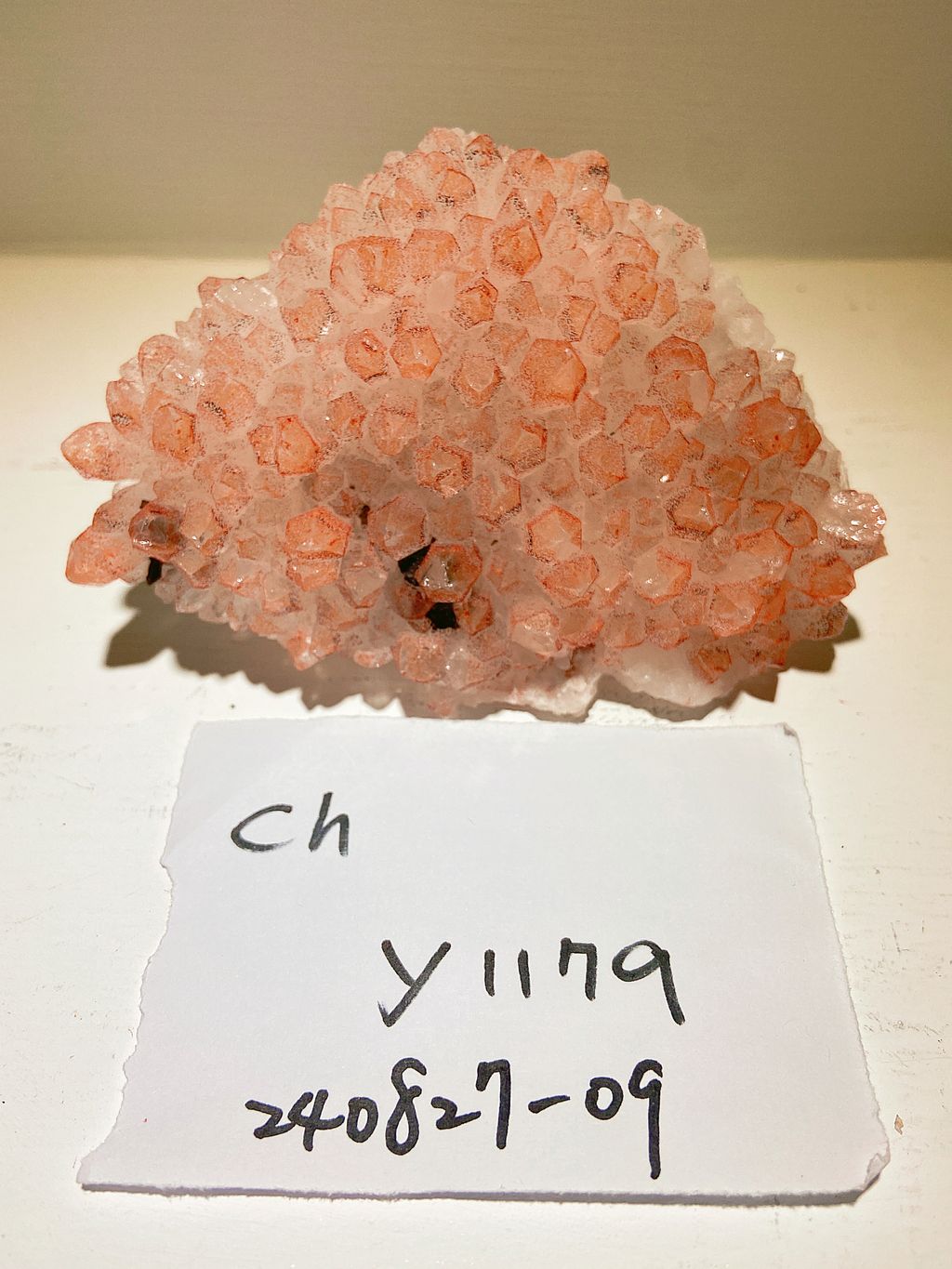 IMG_3320-1724758409514