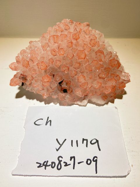 IMG_3320-1724758409514