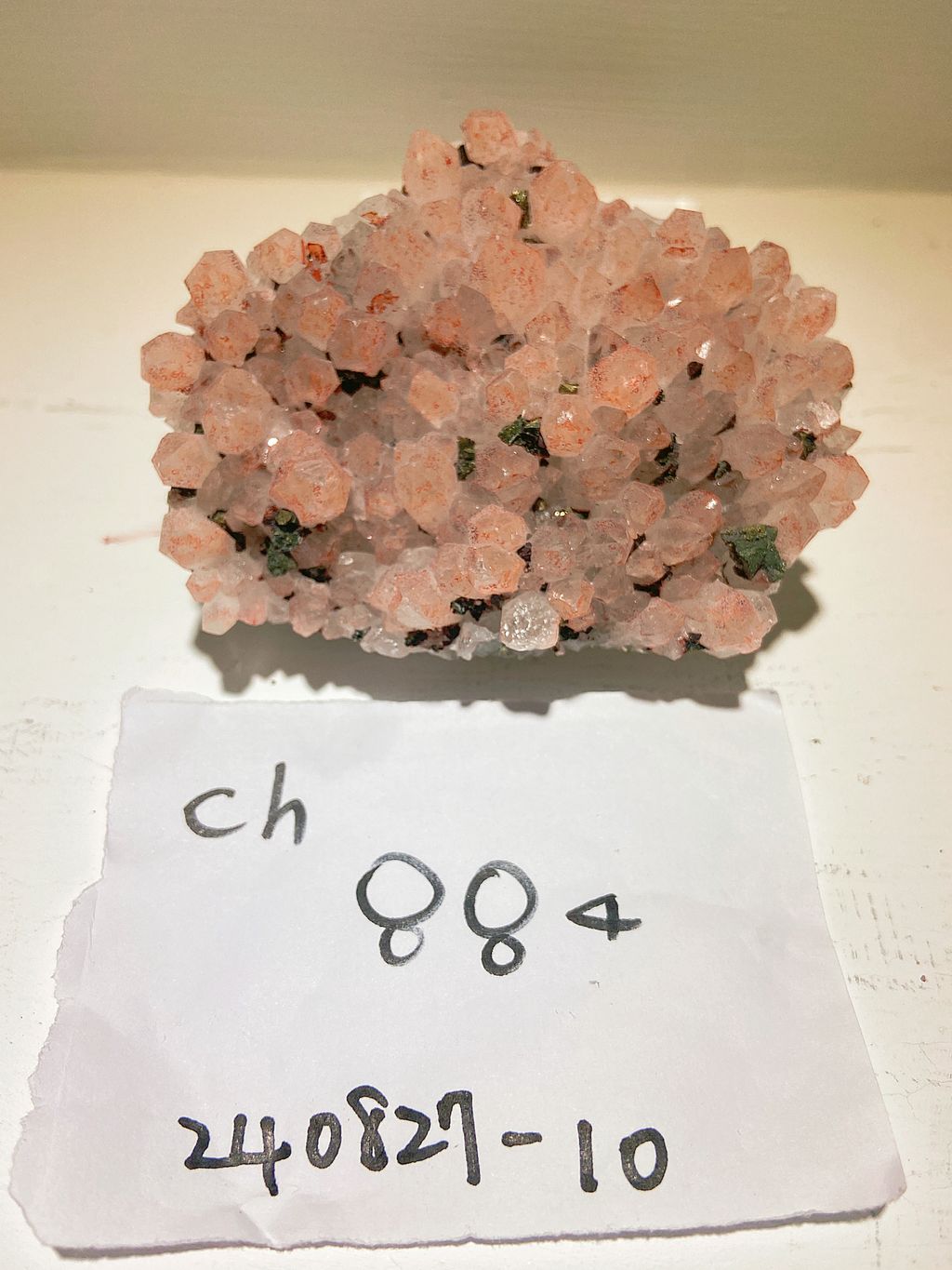 IMG_3321-1724758434280