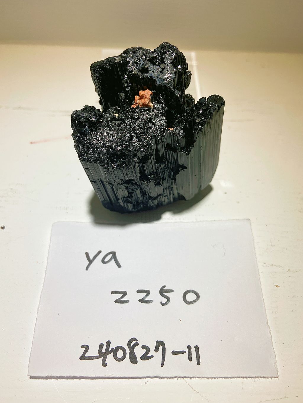 IMG_3322-1724758451031