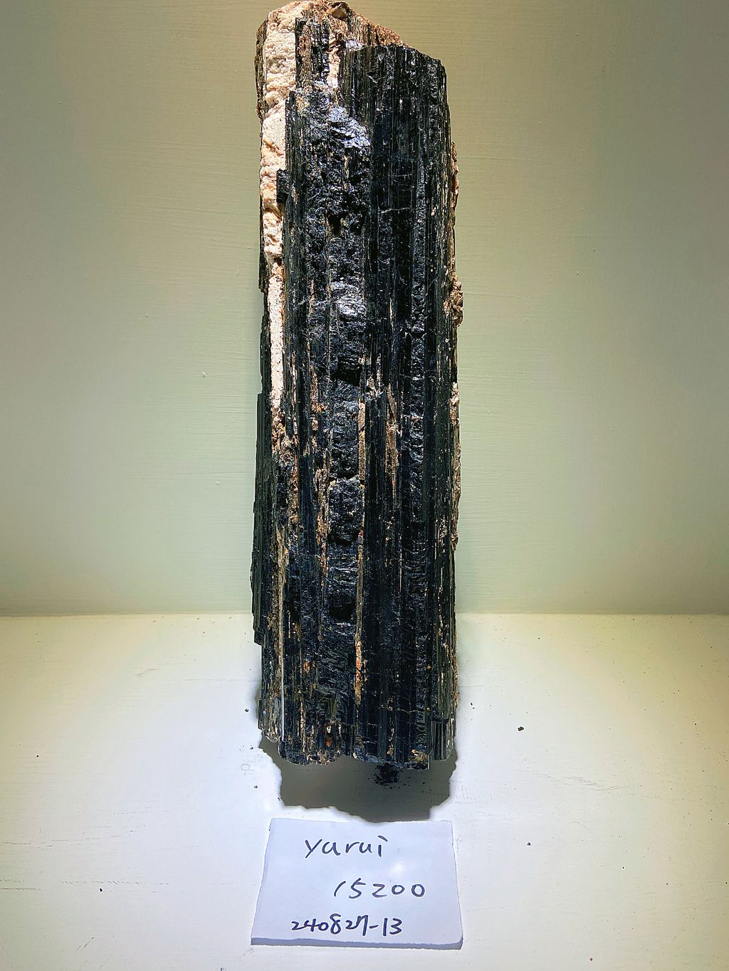 IMG_3324-1724758497015