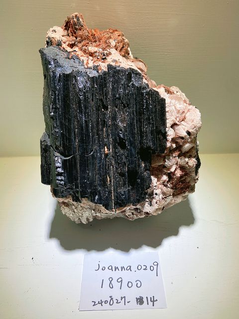 IMG_3329-1724758523008