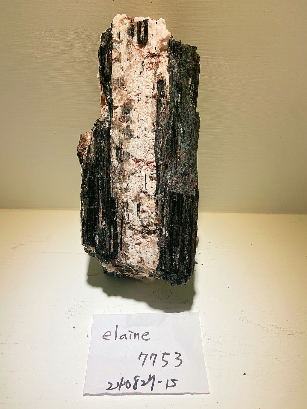 IMG_3331-1724758539930