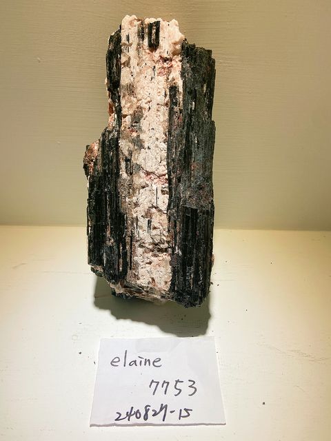 IMG_3331-1724758539930