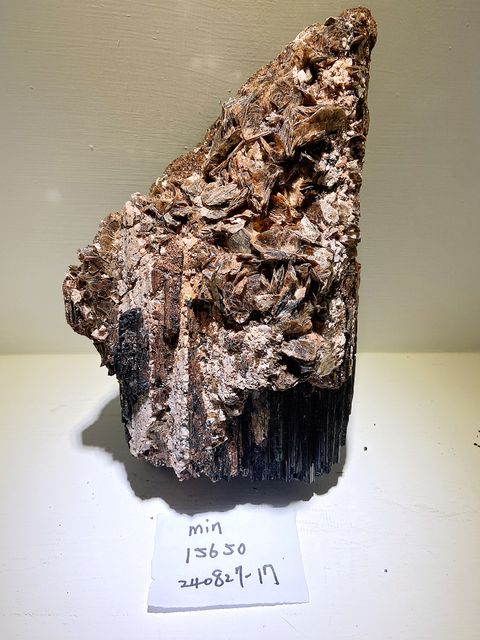 IMG_3334-1724758573864