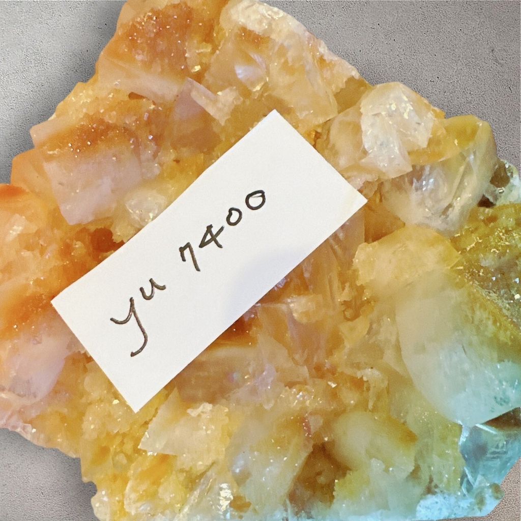 LINE_ALBUM_113912直播邀請_240912_23