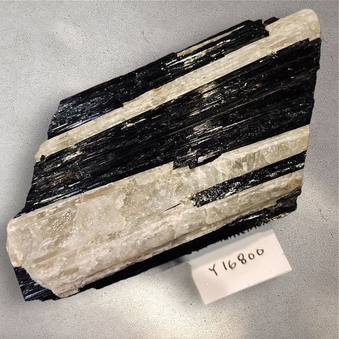 LINE_ALBUM_113912直播邀請_240912_22