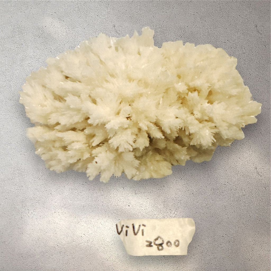 LINE_ALBUM_113912直播邀請_240912_21