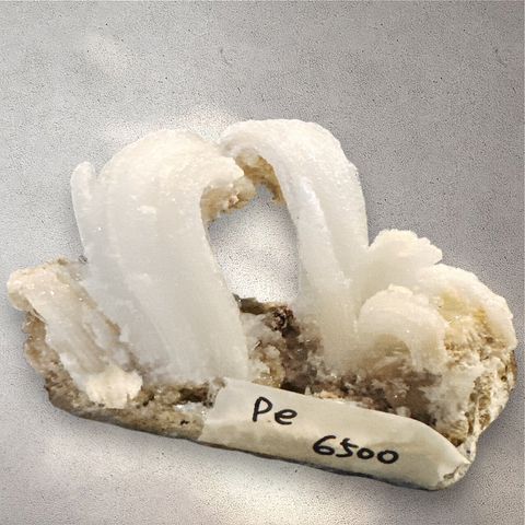 LINE_ALBUM_113912直播邀請_240912_19